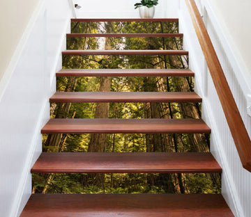 3D Dark Stout Woods 247 Stair Risers