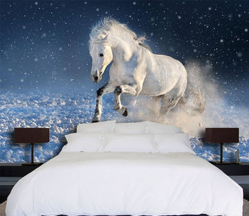 3D White Horse 1048 Wall Murals