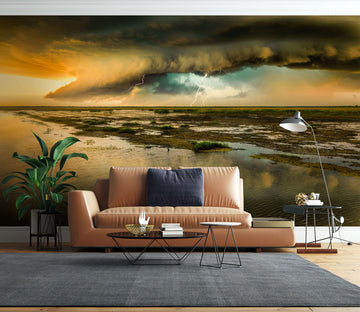 3D Cloud Lightning Wetlands 5211 Beth Sheridan Wall Mural Wall Murals