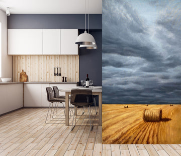 3D Grey Sky 1856 Marina Zotova Wall Mural Wall Murals
