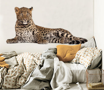 3D The Leopard Is Watching You 043 Animals Wall Stickers Wallpaper AJ Wallpaper 