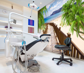 3D Bridge Seagull 059 Wall Murals