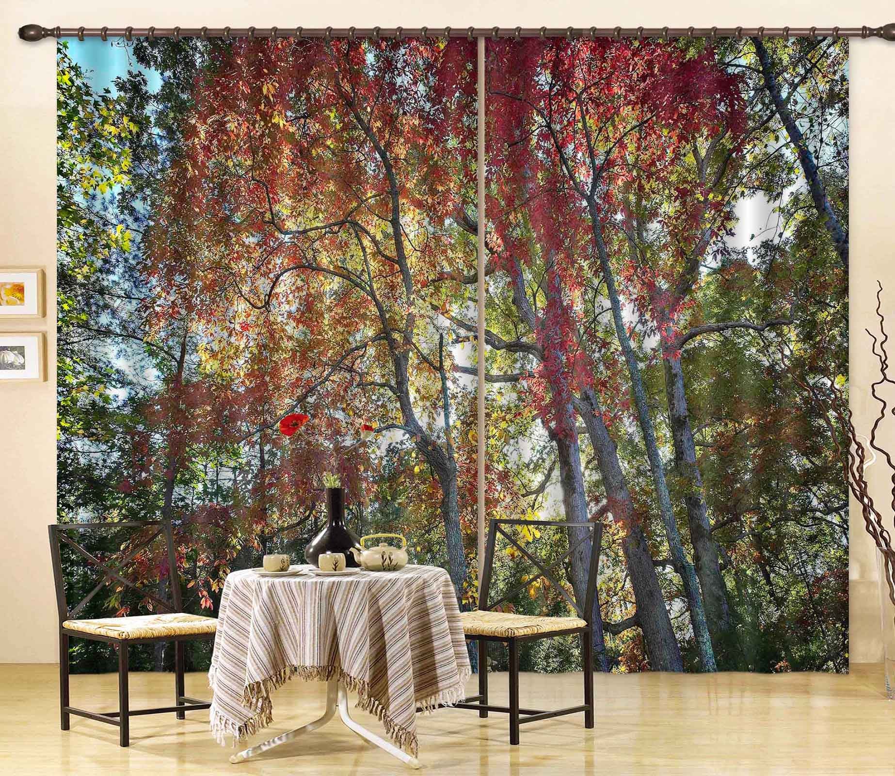 3D Natural Forest 063 Kathy Barefield Curtain Curtains Drapes