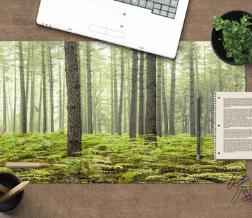 3D Woods Meadow 123110 Assaf Frank Desk Mat