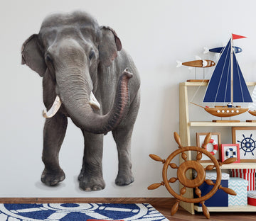 3D Elephant Licking Nose 158 Animals Wall Stickers Wallpaper AJ Wallpaper 