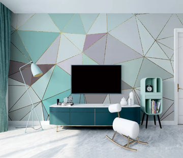 3D White Triangle WC2199 Wall Murals