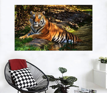 3D Shade Tiger 126 Animal Wall Stickers Wallpaper AJ Wallpaper 2 