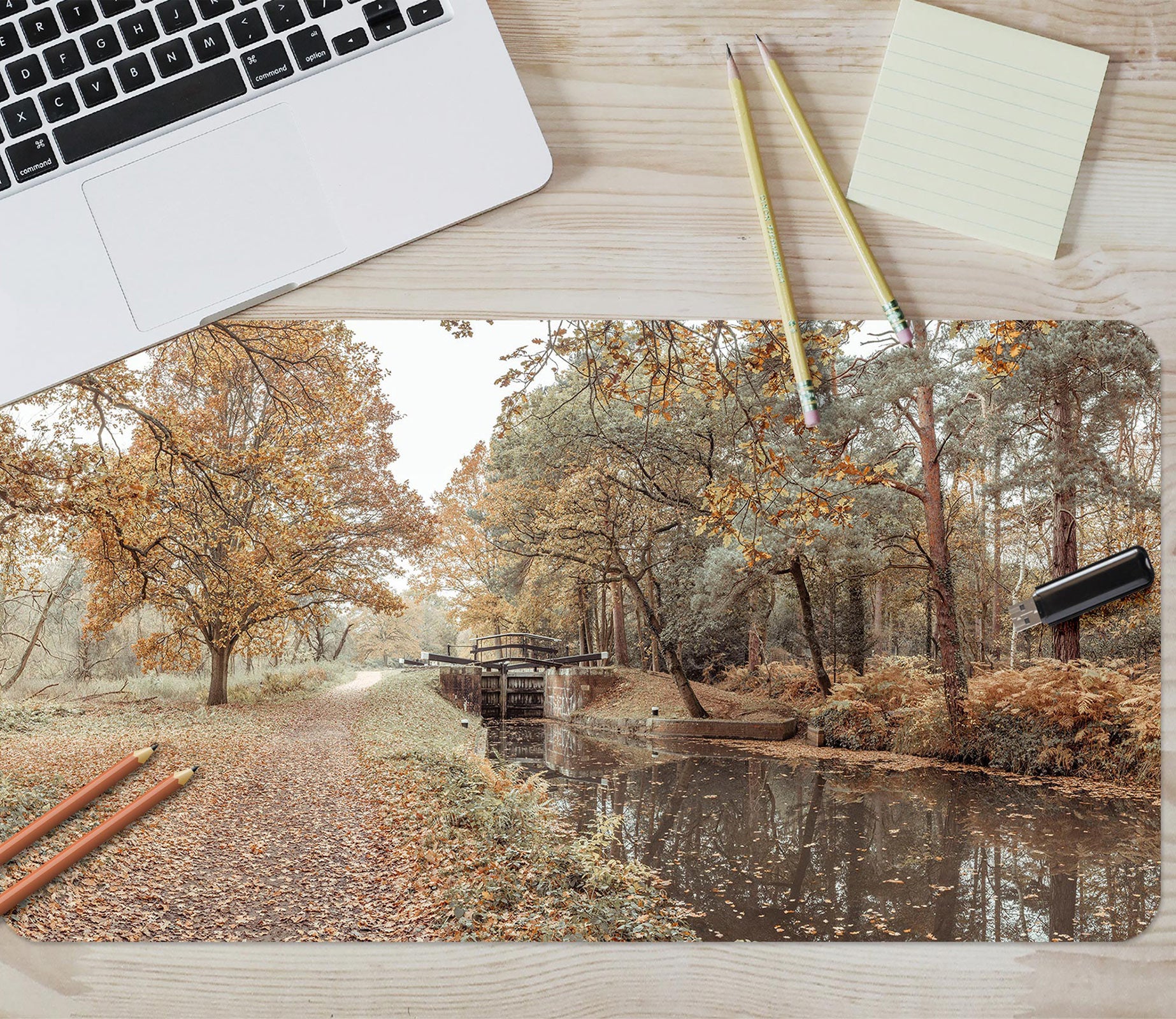 3D Creek Trees 12449 Assaf Frank Desk Mat