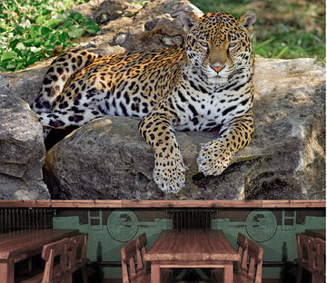 3D Stone Tiger 1067 Wall Murals