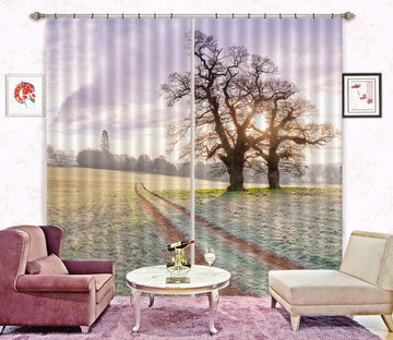 3D Park Tree 090 Assaf Frank Curtain Curtains Drapes