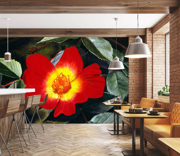 3D Red Flowers 11108 Matthew Holden Bates Wall Mural Wall Murals