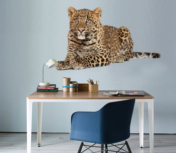 3D Tiger Squatting 046 Animals Wall Stickers Wallpaper AJ Wallpaper 