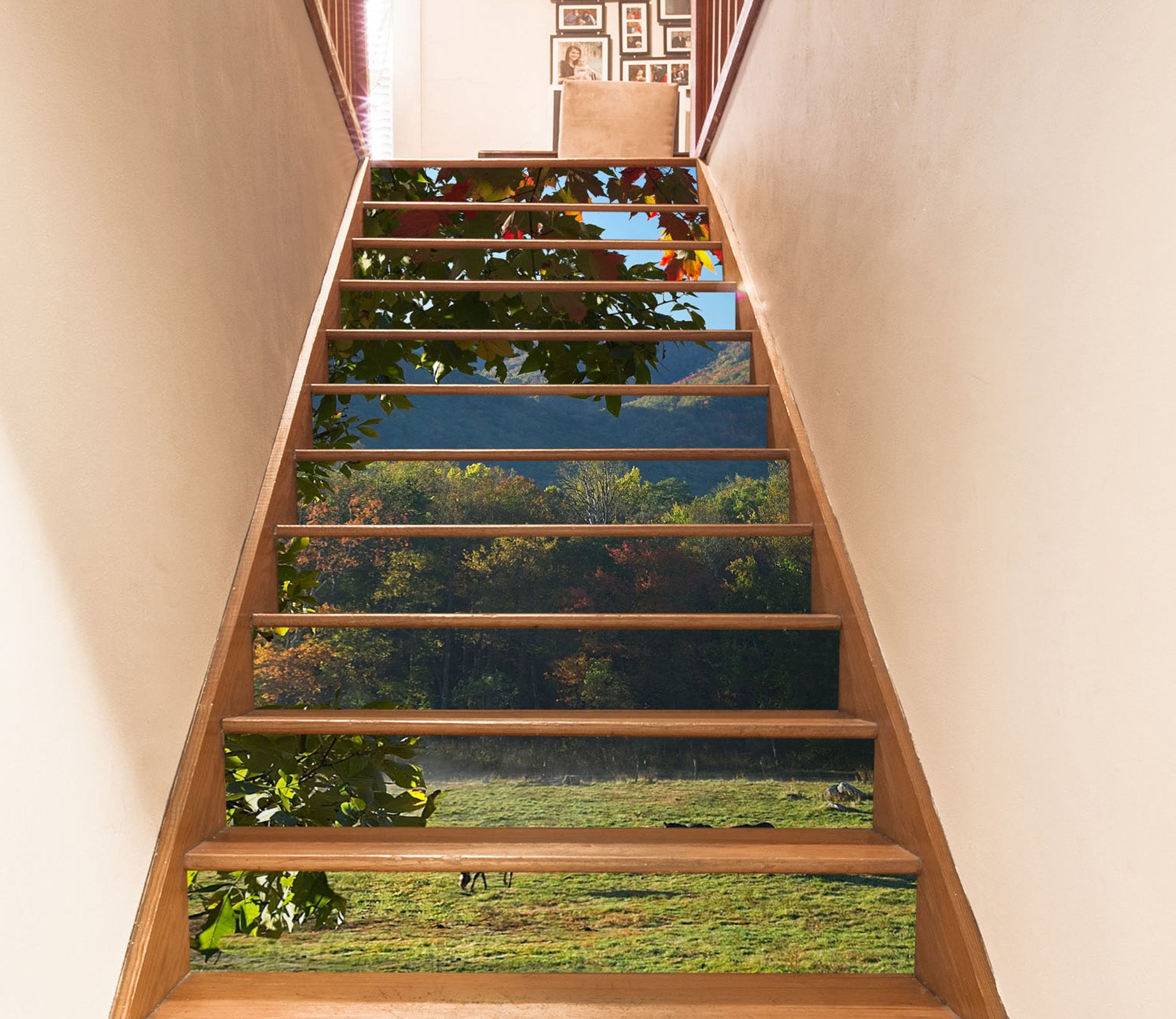 3D Lawn Woods 98217 Kathy Barefield Stair Risers