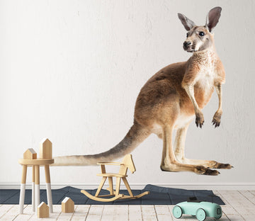 3D Kangaroo 202 Animals Wall Stickers Wallpaper AJ Wallpaper 