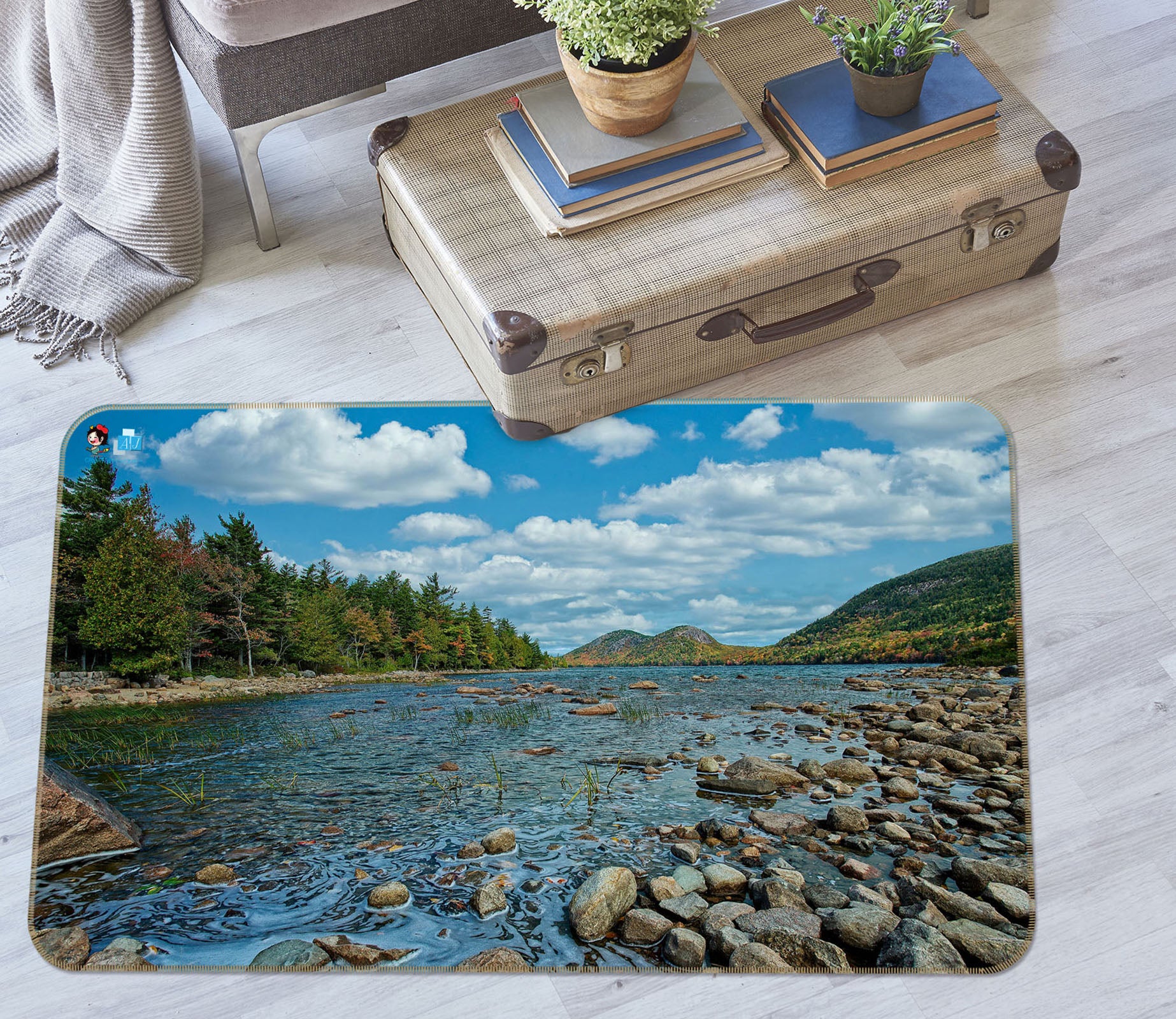 3D Small Stone Small River 62215 Kathy Barefield Rug Non Slip Rug Mat