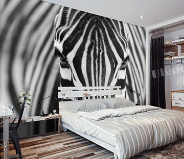 3D Zebra Head WG243 Wall Murals
