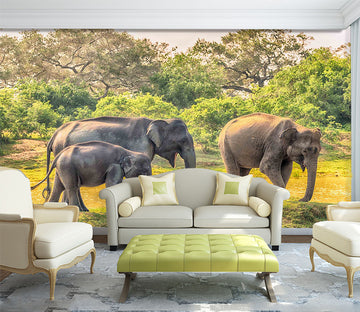 3D Elephant Family 1059 Wall Murals