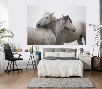3D Two Horses 125 Marco Carmassi Wall Sticker