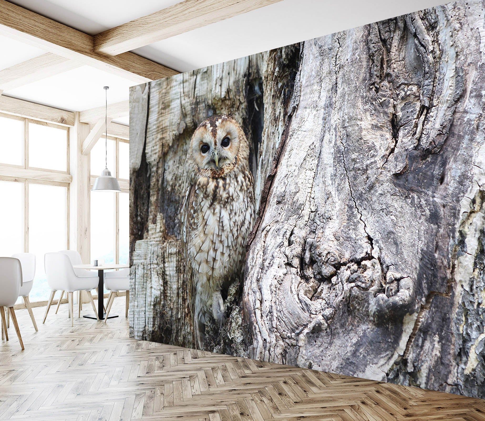 3D Black Owl 255 Wall Murals