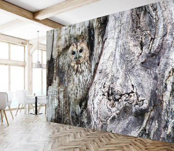 3D Black Owl 255 Wall Murals