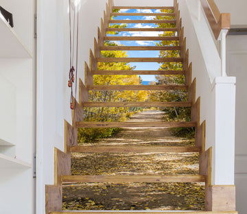 3D Road Between Woods 536 Stair Risers