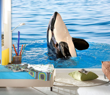 3D Killer Whale 239 Wall Murals