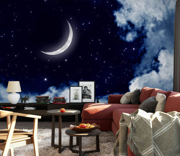 3D Moon Cloud 1115 Wall Murals