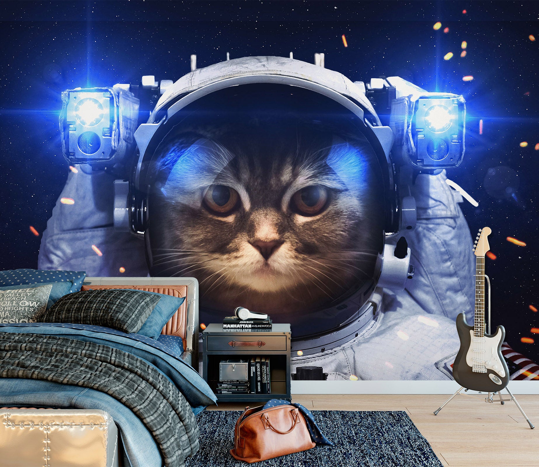 3D Space Cat 1733 Wall Murals