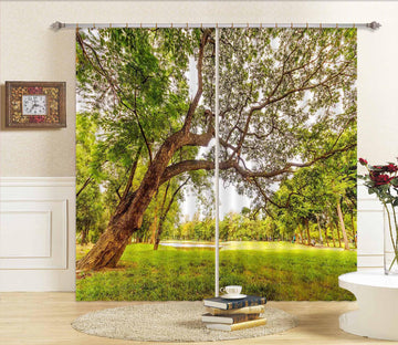 3D Park Tree 833 Curtains Drapes