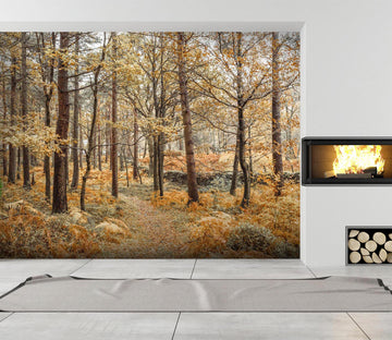 3D Maple Forest 054 Assaf Frank Wall Mural Wall Murals