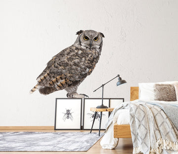 3D Owl 206 Animals Wall Stickers Wallpaper AJ Wallpaper 