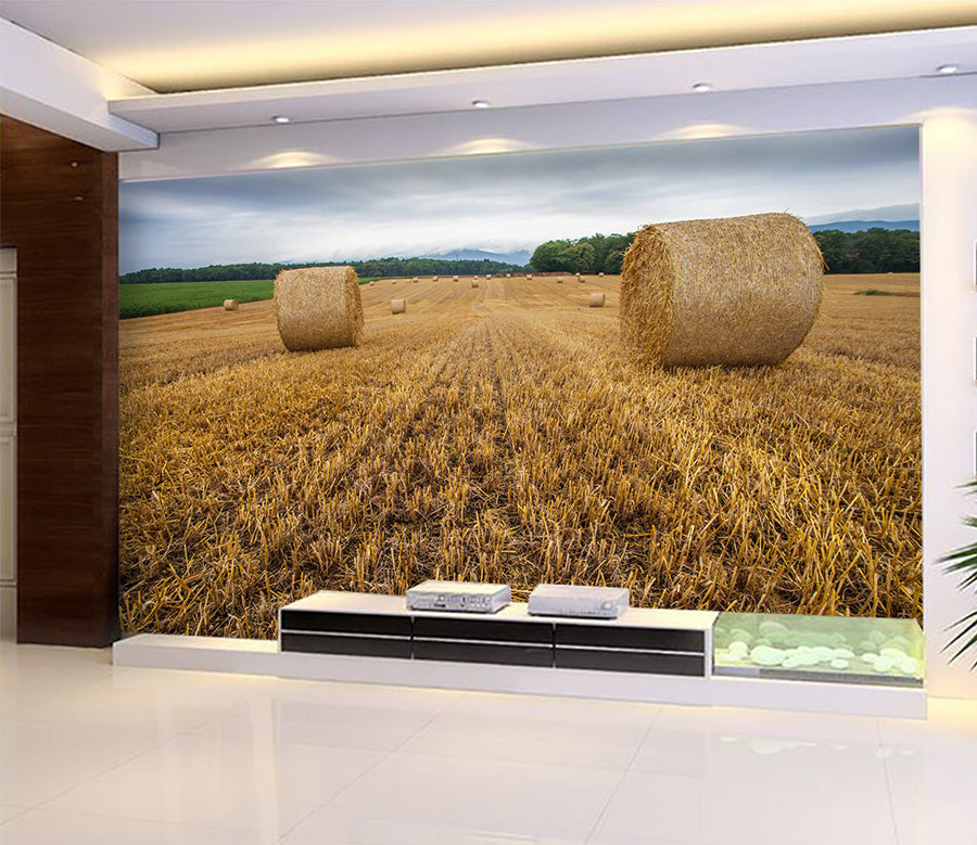 3D Golden Field 1033 Wall Murals