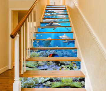 3D Underwater World 048 Stair Risers
