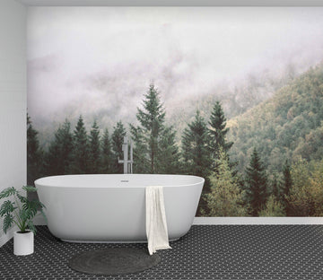 3D Morning Fog Forest 116 Wall Murals