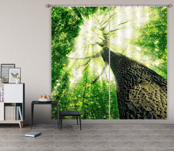 3D Big Tree 848 Curtains Drapes Wallpaper AJ Wallpaper 