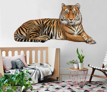3D Tiger 01 Animals Wall Stickers Wallpaper AJ Wallpaper 