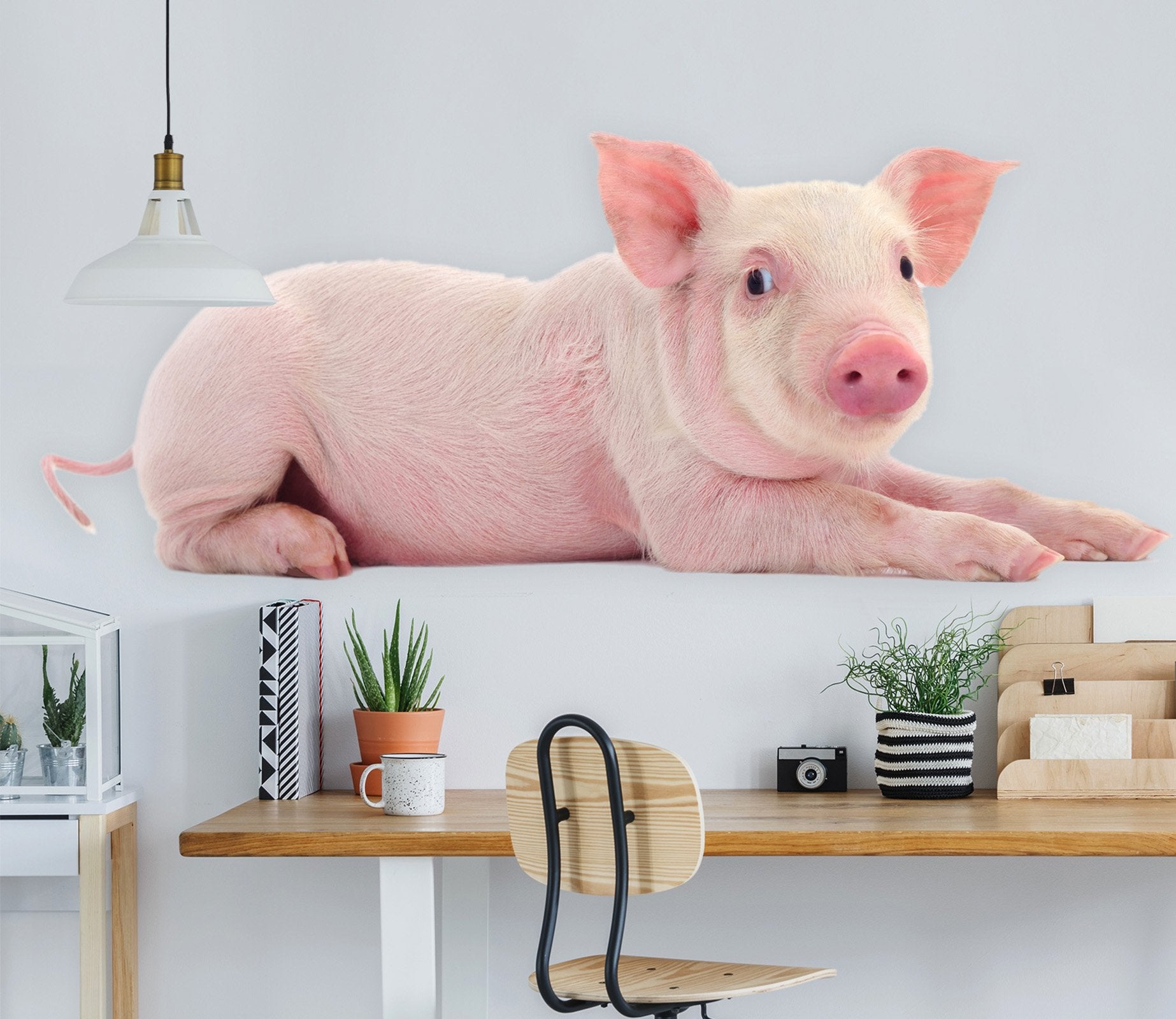 3D Lying Pig 140 Animals Wall Stickers Wallpaper AJ Wallpaper 