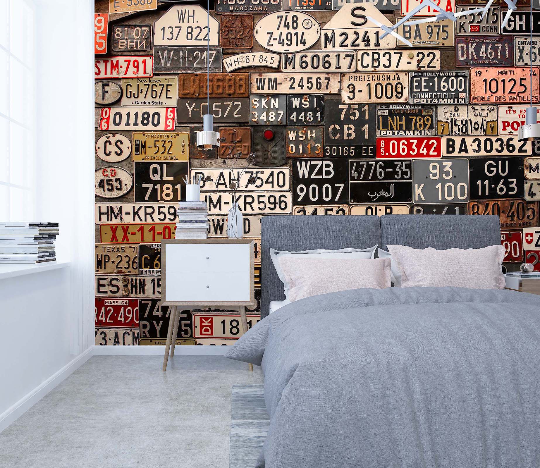 3D License Plate 041 Wall Murals