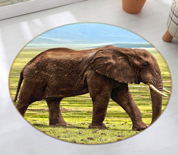 3D Steppe Elephant 034 Animal Round Non Slip Rug Mat Mat AJ Creativity Home 