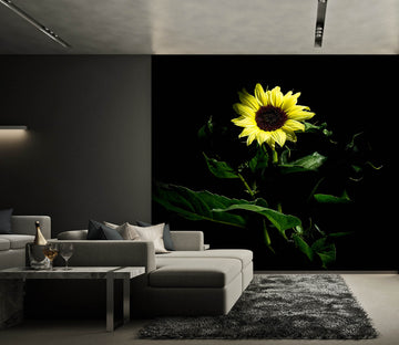 3D Dark Sunflower 125 Kathy Barefield Wall Mural Wall Murals