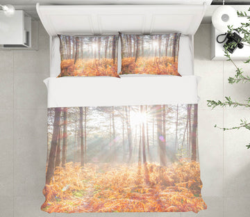 3D Sunlight Trees 7163 Assaf Frank Bedding Bed Pillowcases Quilt Cover Duvet Cover
