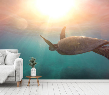 3D Swimming Turtle 227 Wallpaper AJ Wallpaper 