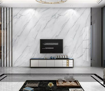 3D Black Ink WC2251 Wall Murals