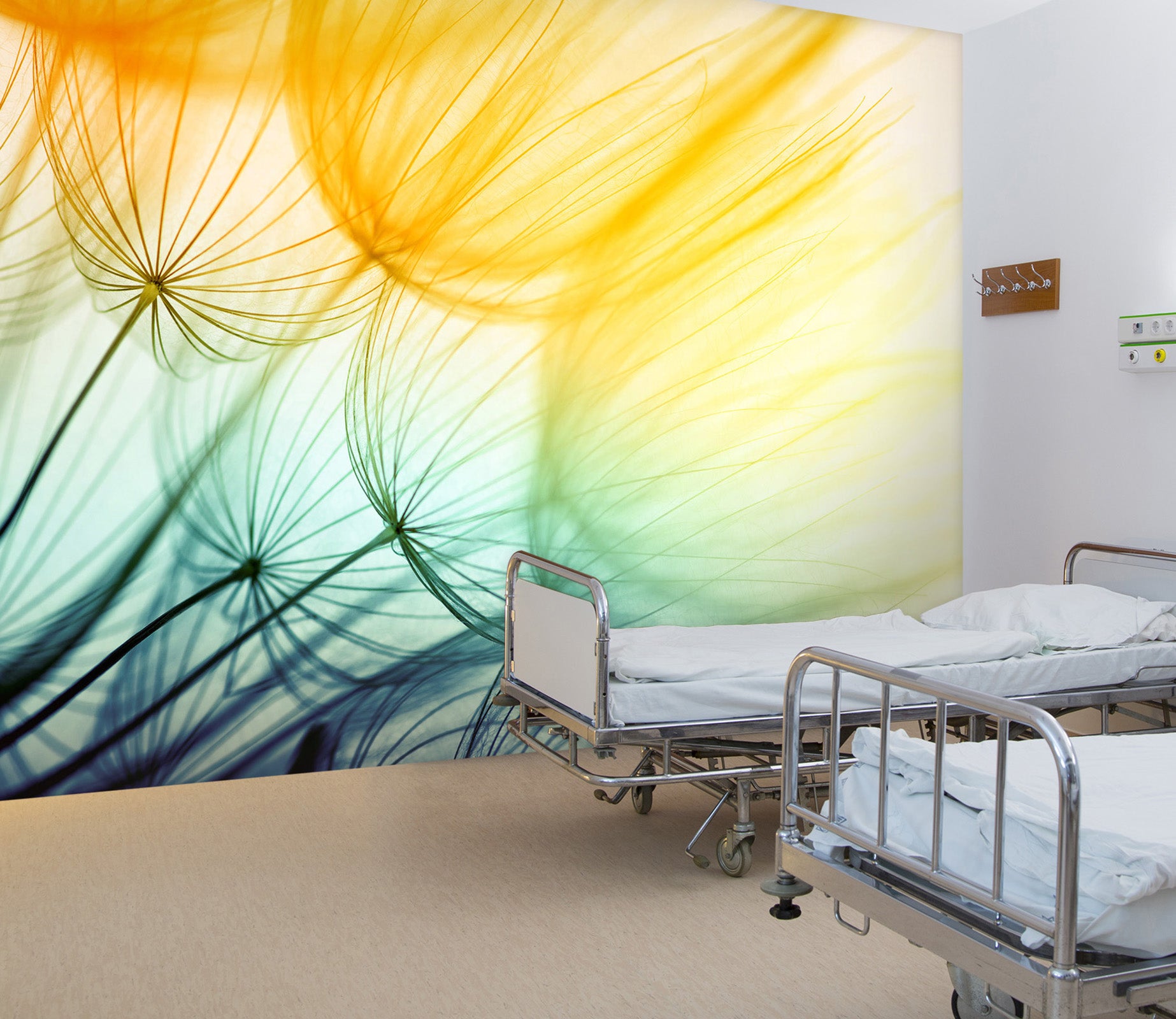 3D Beautiful Dandelion 313 Wall Murals