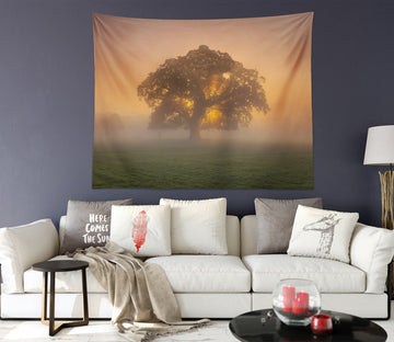3D Tree Grassland Fog 116119 Assaf Frank Tapestry Hanging Cloth Hang
