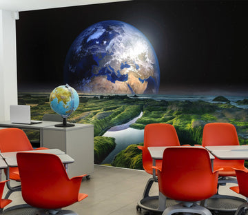 3D Earth above the plants 37 Wall Murals Wallpaper AJ Wallpaper 2 