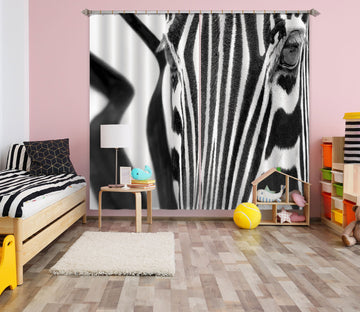 3D Zebra Lines 058 Marco Carmassi Curtain Curtains Drapes