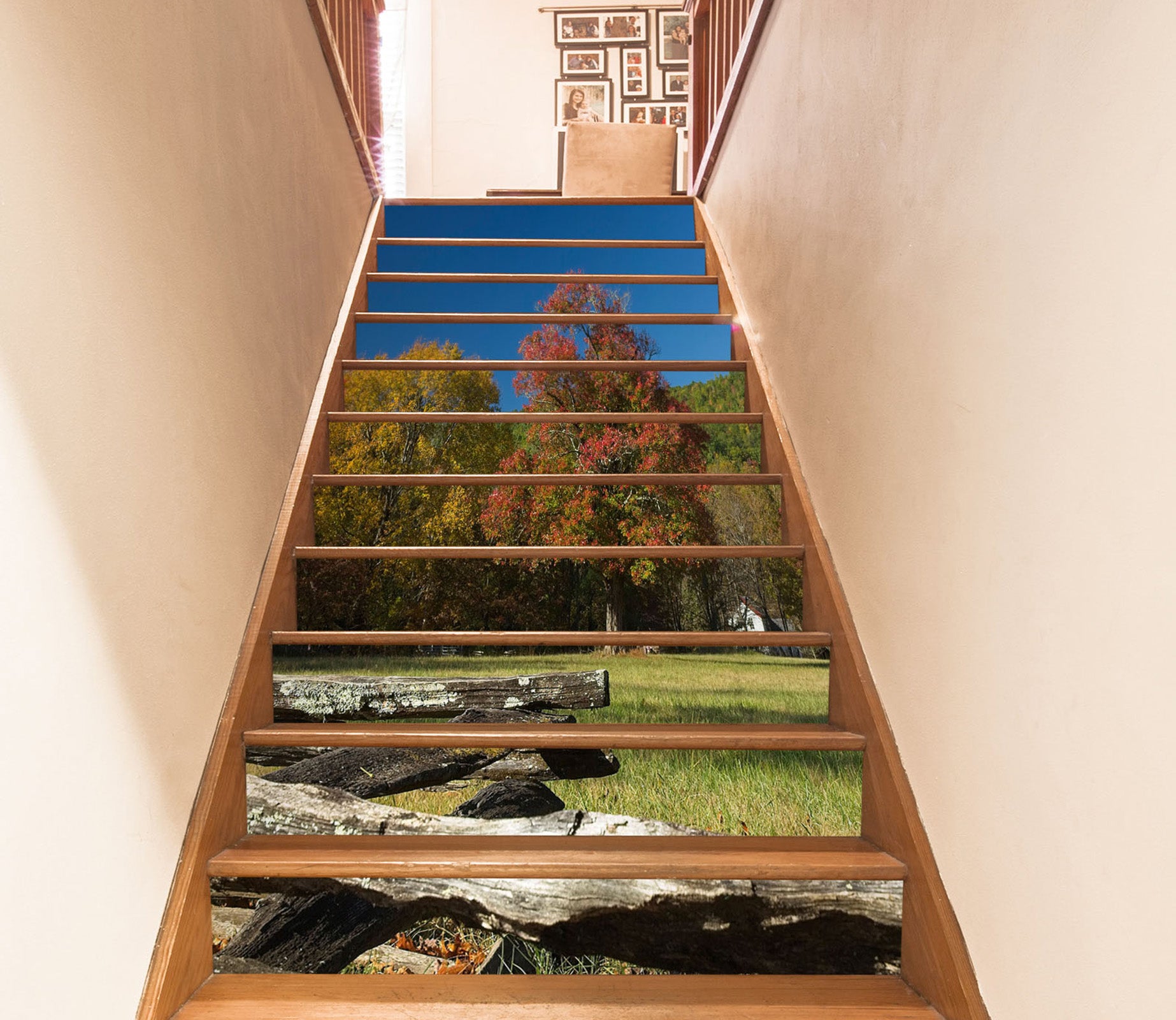 3D Lawn Trees Wood 9903 Kathy Barefield Stair Risers