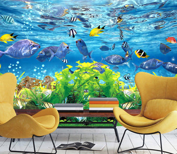 3D The Underwater World 1422 Wall Murals