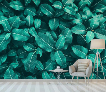 3D Rich Evergreen Leaves 2210 Wall Murals